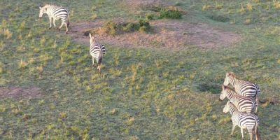 Balloon Safari Tours Maasai Mara 2