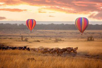 Balloon Safari Tours Mara Kenya 3