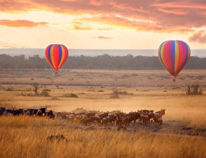 Balloon Safari Tours Mara Kenya 3