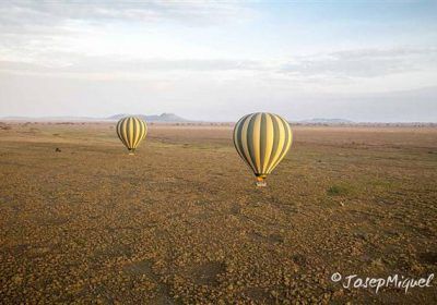 Baloon Safaris In Serengeti2