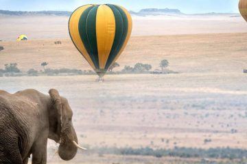 Best Hot Air Balloon Maasai Mara