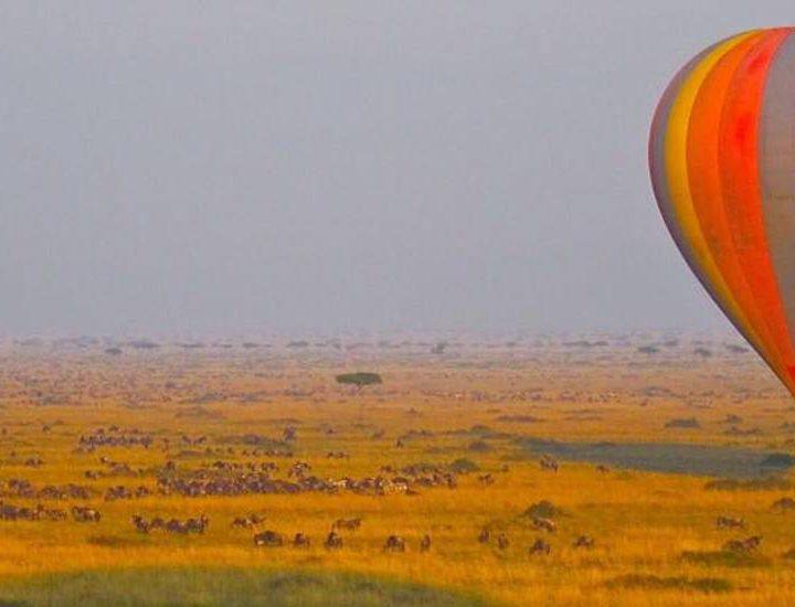 Hot Air Balloon Safari Tours Mara Kenya 3