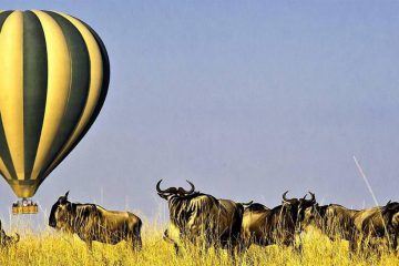 Hot Air Balloon Safari Tours Mara Kenya 6