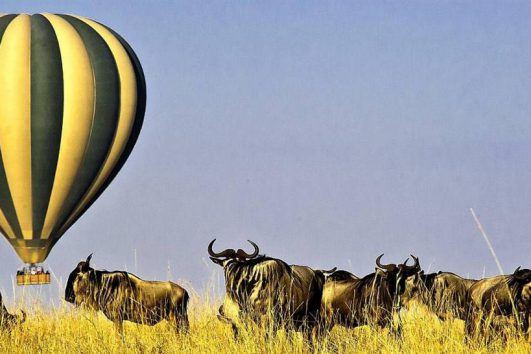 Hot Air Balloon Safari Tours Mara Kenya 6