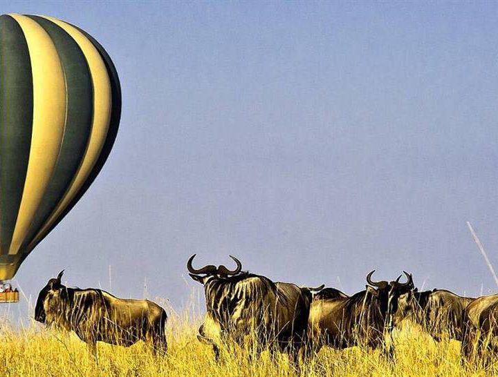 Hot Air Balloon Safari Tours Mara Kenya 6